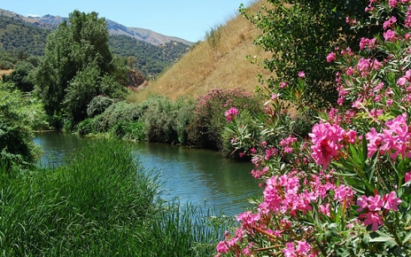 Rio Guadiaro - Ronda Mountains